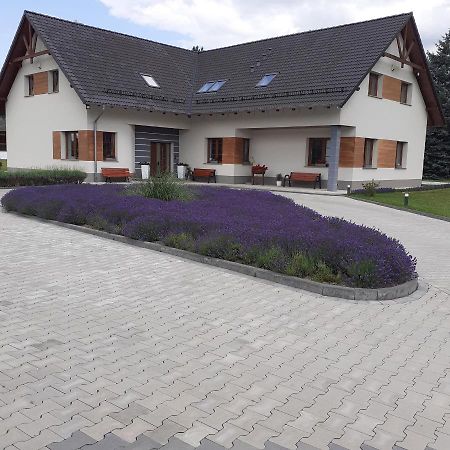 Agroturystyka Aura Kostrzyca Esterno foto