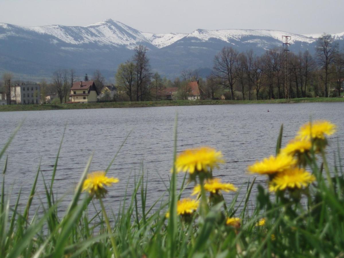 Agroturystyka Aura Kostrzyca Esterno foto
