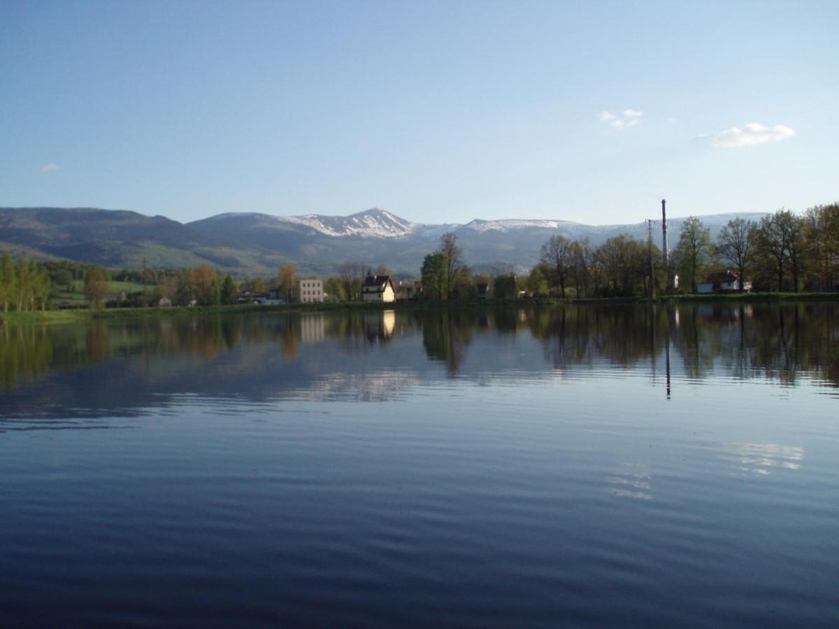 Agroturystyka Aura Kostrzyca Esterno foto