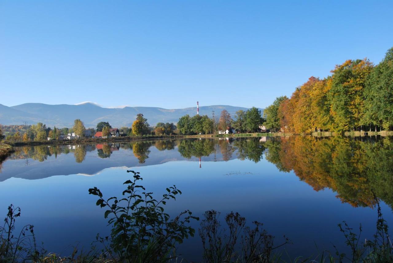 Agroturystyka Aura Kostrzyca Esterno foto