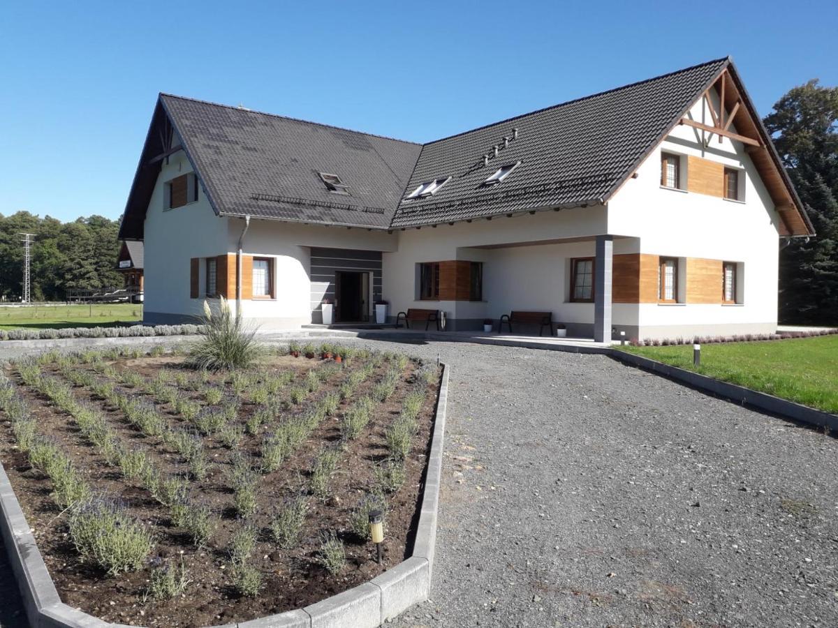 Agroturystyka Aura Kostrzyca Esterno foto