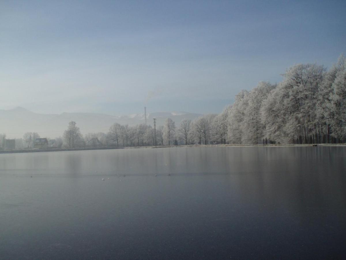 Agroturystyka Aura Kostrzyca Esterno foto