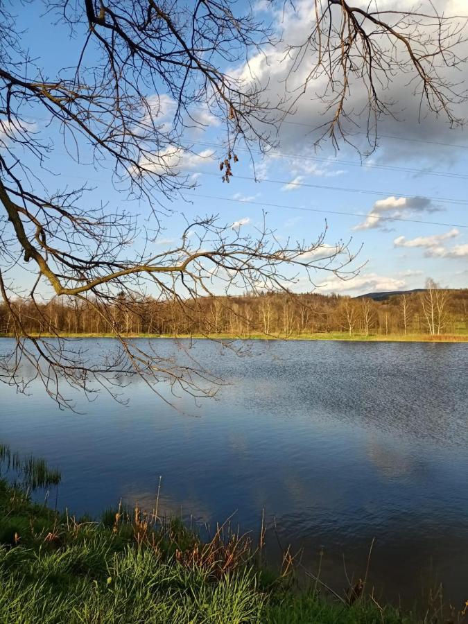 Agroturystyka Aura Kostrzyca Esterno foto