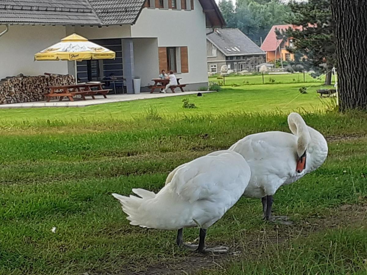 Agroturystyka Aura Kostrzyca Esterno foto