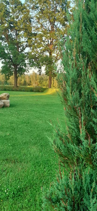 Agroturystyka Aura Kostrzyca Esterno foto