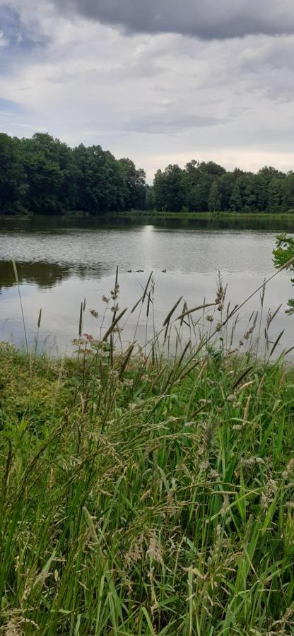 Agroturystyka Aura Kostrzyca Esterno foto