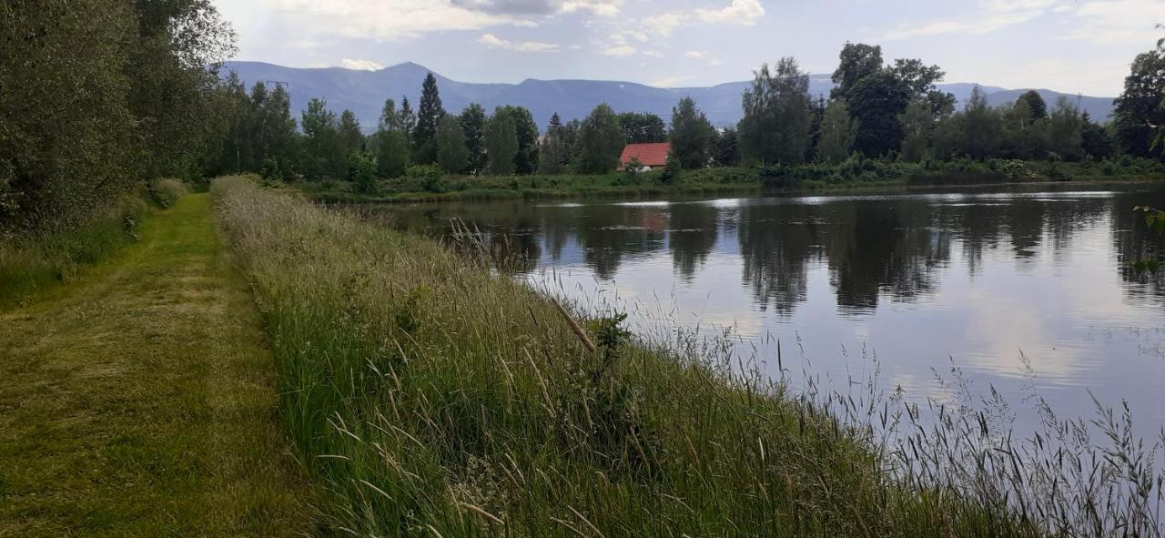 Agroturystyka Aura Kostrzyca Esterno foto