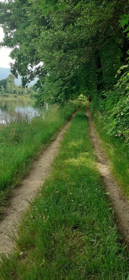 Agroturystyka Aura Kostrzyca Esterno foto
