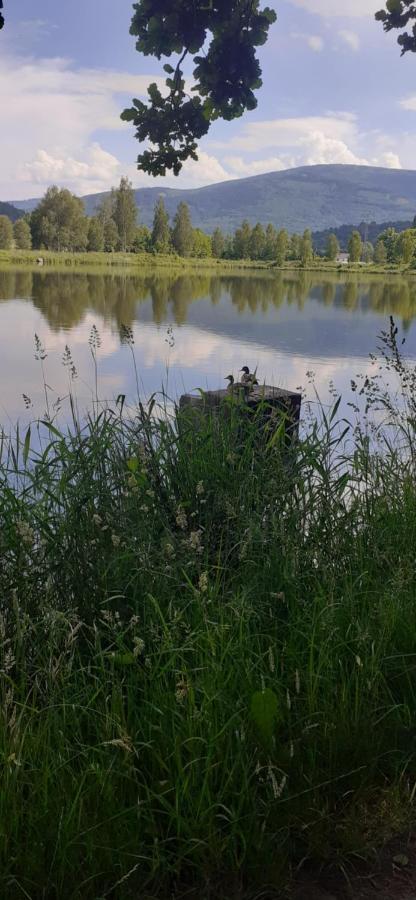 Agroturystyka Aura Kostrzyca Esterno foto