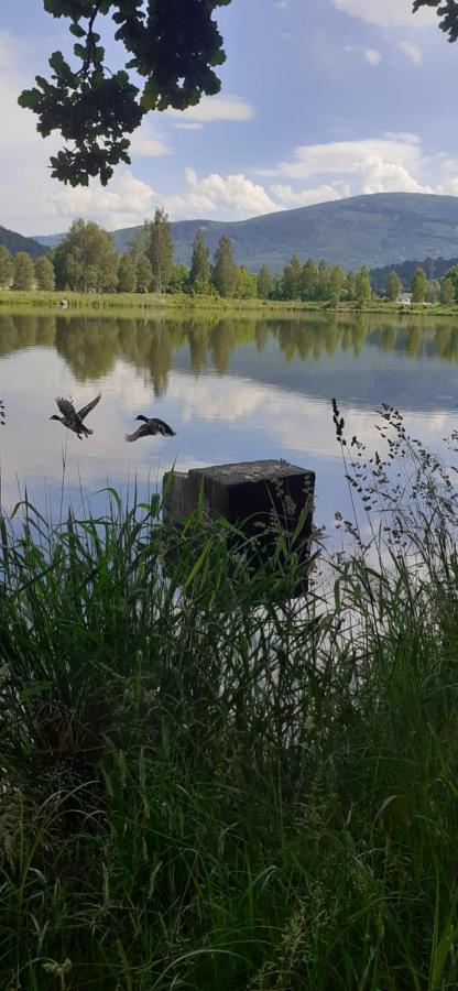 Agroturystyka Aura Kostrzyca Esterno foto