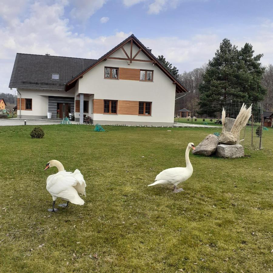 Agroturystyka Aura Kostrzyca Esterno foto