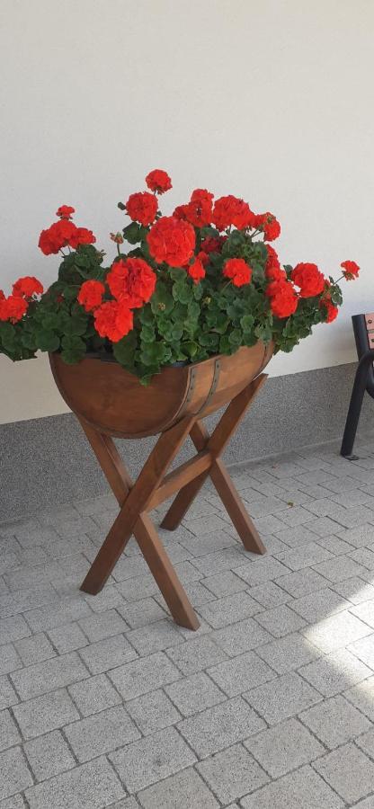 Agroturystyka Aura Kostrzyca Esterno foto