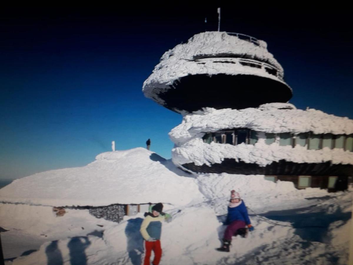 Agroturystyka Aura Kostrzyca Esterno foto