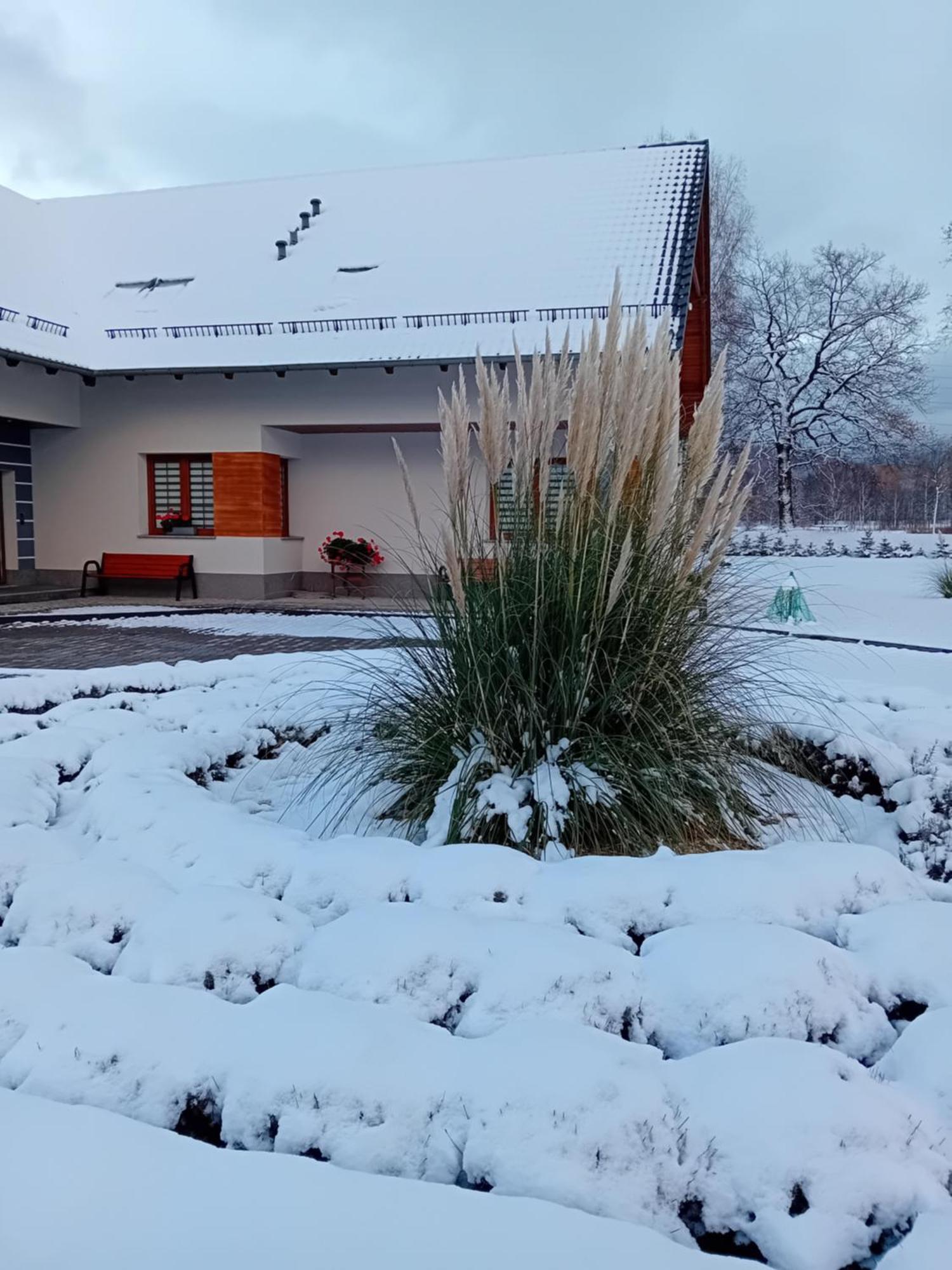 Agroturystyka Aura Kostrzyca Esterno foto