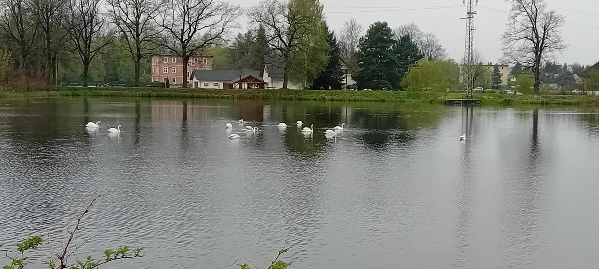 Agroturystyka Aura Kostrzyca Esterno foto