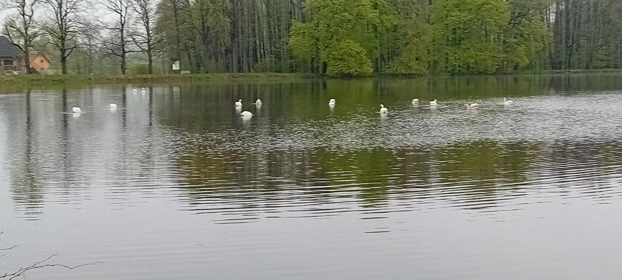 Agroturystyka Aura Kostrzyca Esterno foto